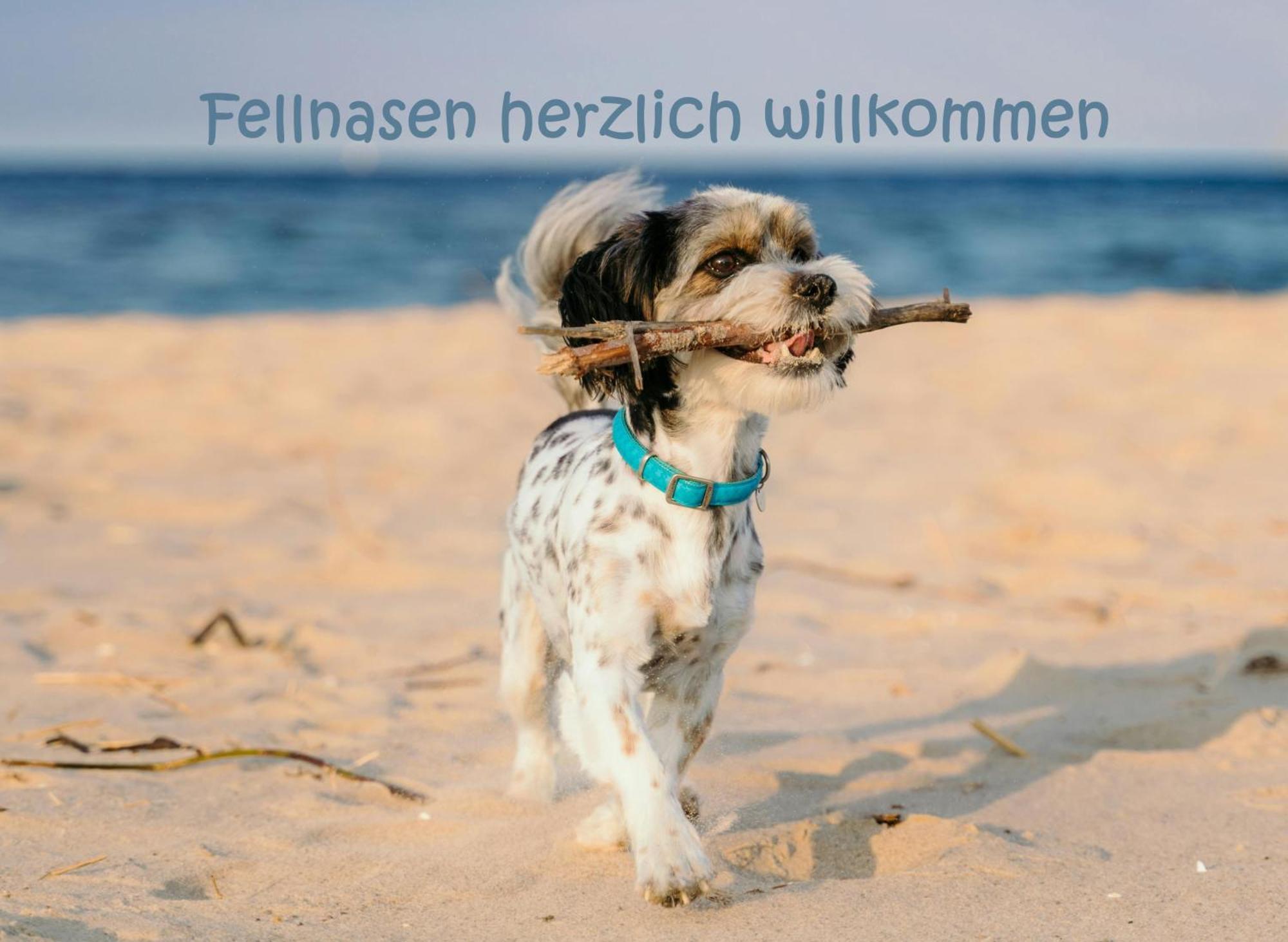 Hafensuite Ipura Vida! - Fuer Leben-Geniesser คัพเพล์น ภายนอก รูปภาพ